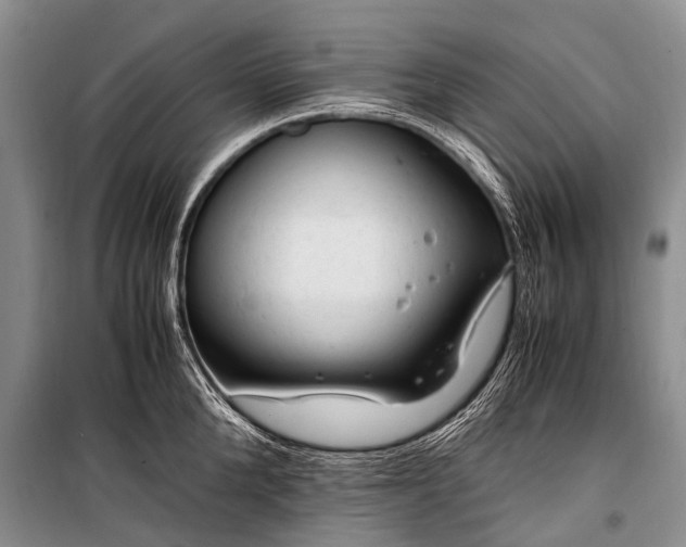 X0000100950904200807011306