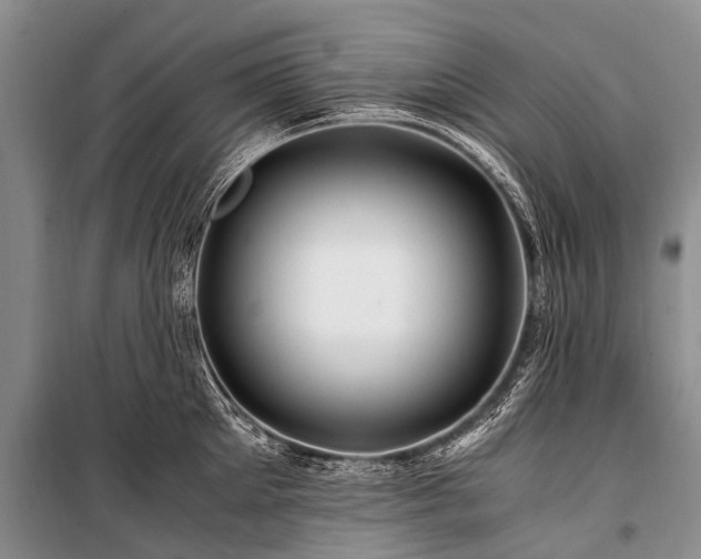 X0000100950905200807011306