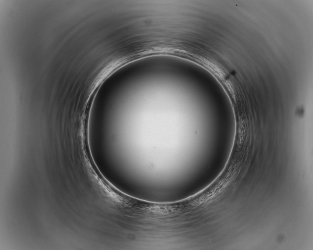 X0000100950906200807011306