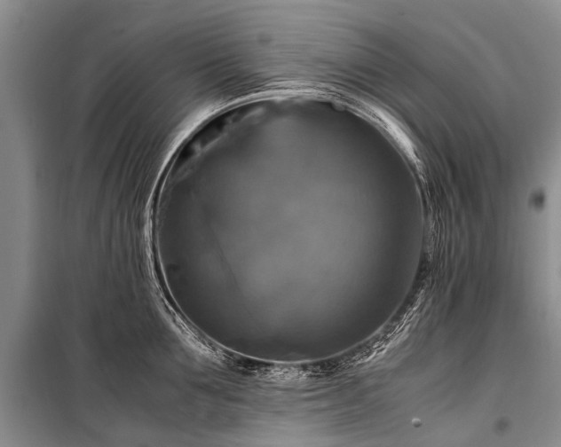 X0000100950907200807011306