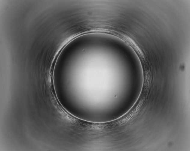X0000100950908200807011306