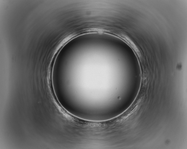 X0000100950909200807011306