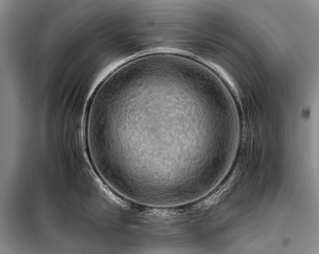 X0000100950910200807011306