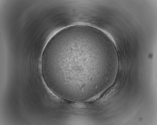 X0000100950911200807011306