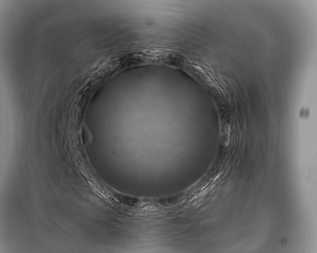 X0000100950913200807011305
