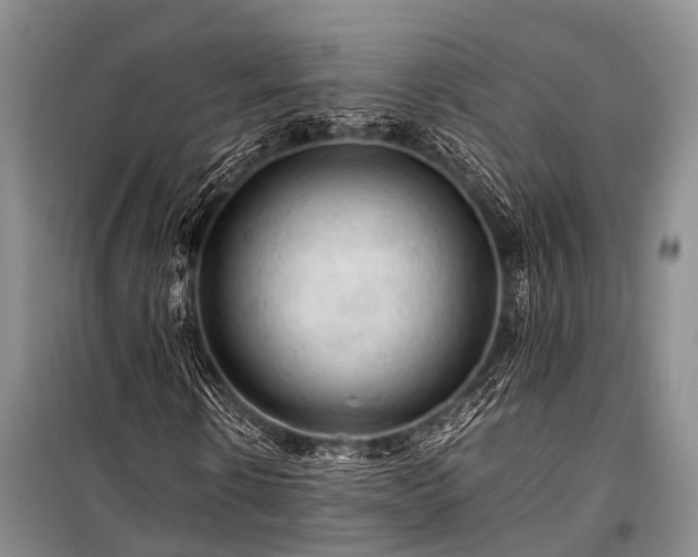 X0000100950914200807011305