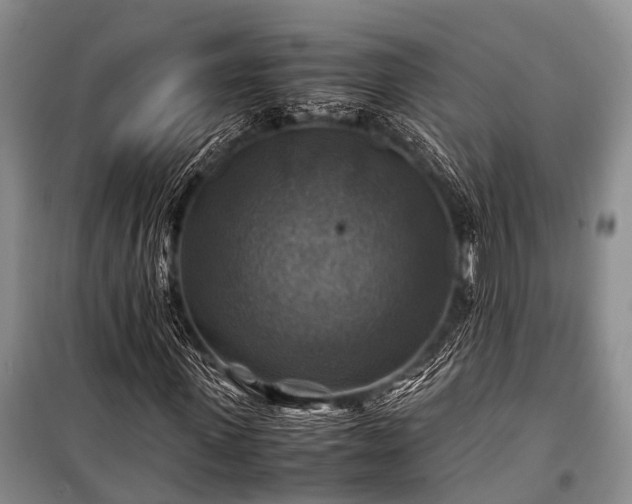X0000100950915200807011305