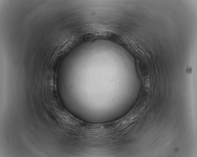 X0000100950916200807011305
