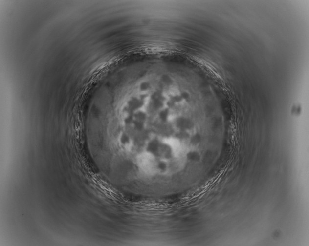 X0000100950917200807011305
