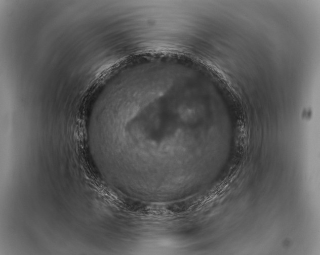 X0000100950918200807011305