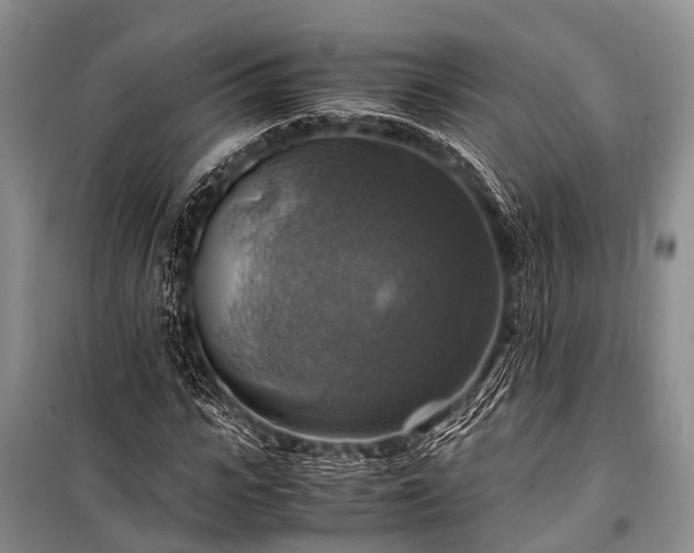 X0000100950919200807011305