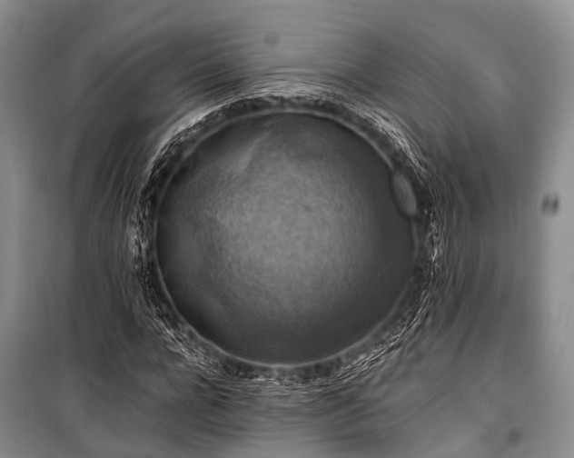 X0000100950920200807011305