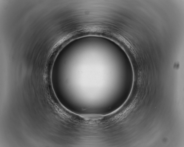 X0000100950922200807011305