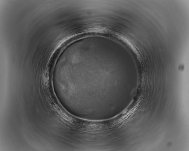X0000100950923200807011305