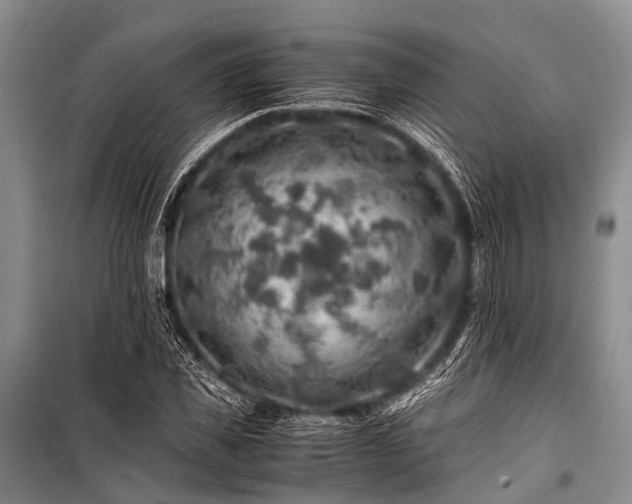 X0000100950925200807011305