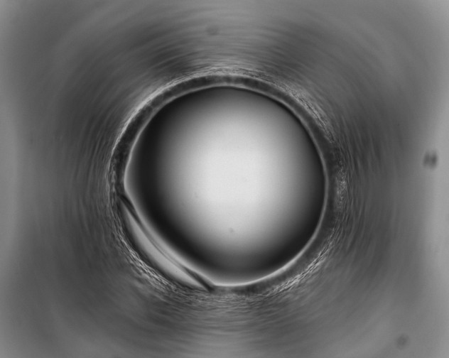 X0000100950926200807011305