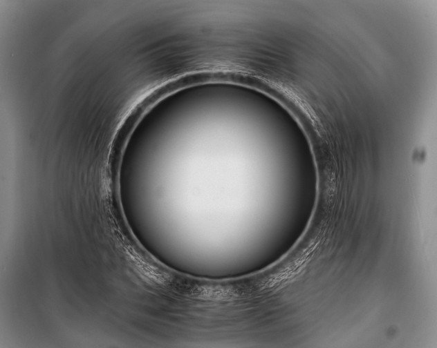 X0000100950927200807011305