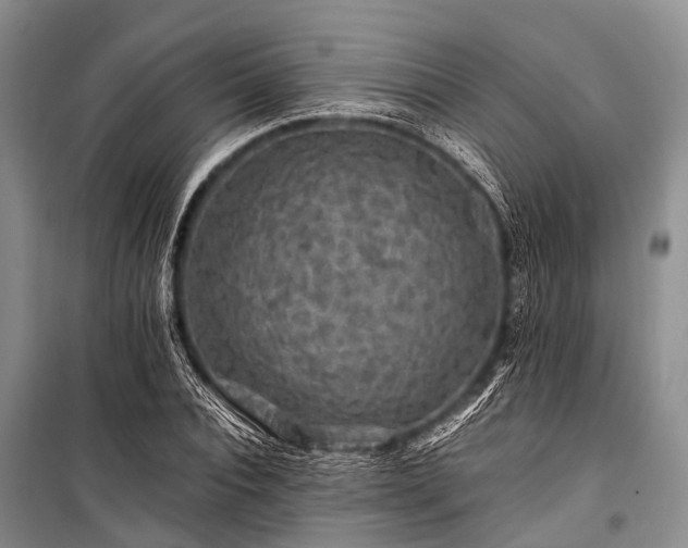 X0000100950928200807011305