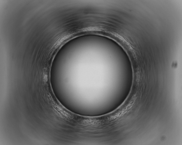 X0000100950929200807011305