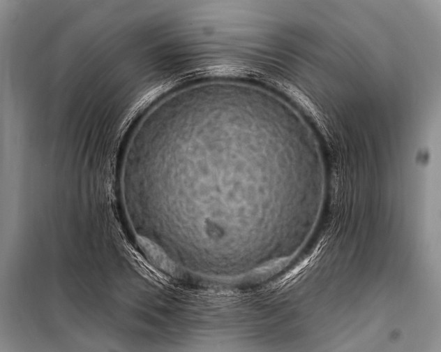 X0000100950930200807011305