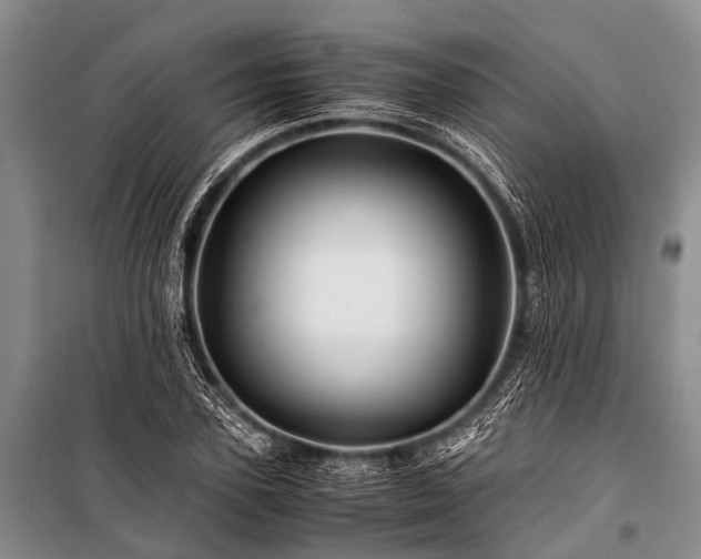 X0000100950931200807011305