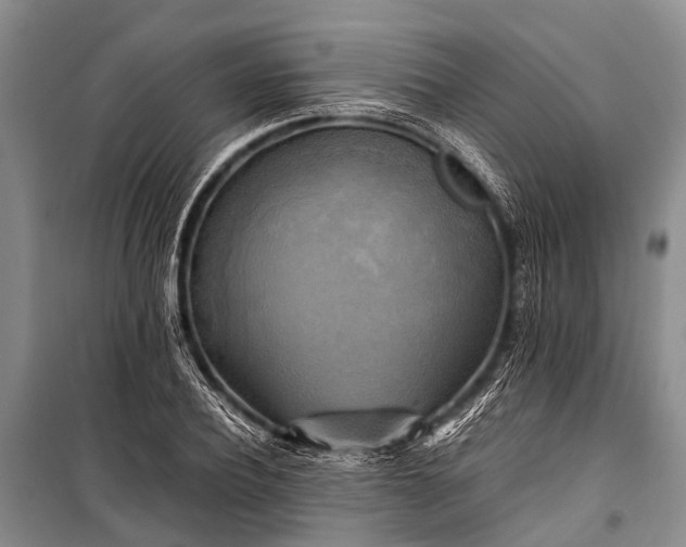 X0000100950932200807011305