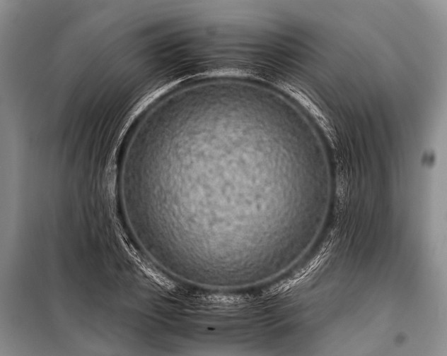 X0000100950933200807011305