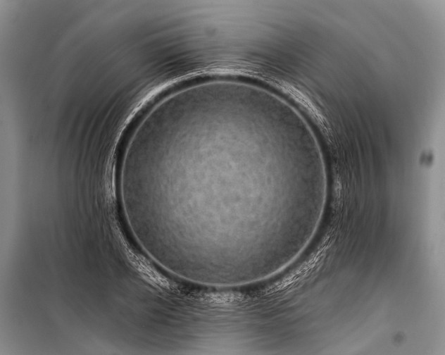 X0000100950934200807011305