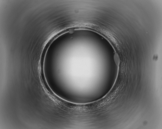 X0000100950936200807011305