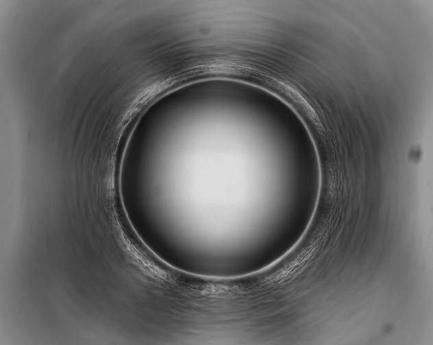 X0000100950938200807011305