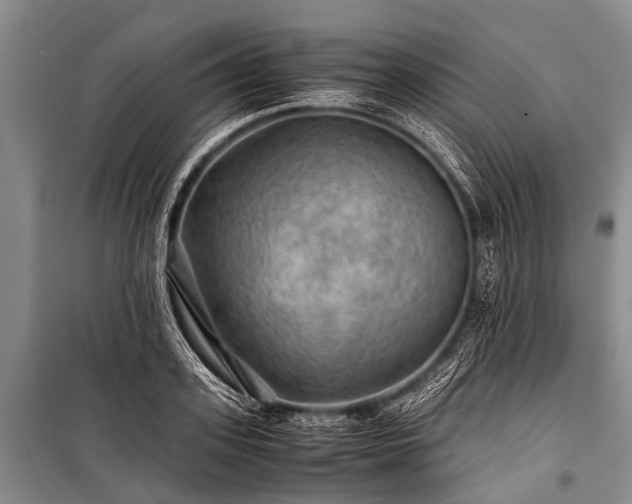 X0000100950939200807011305