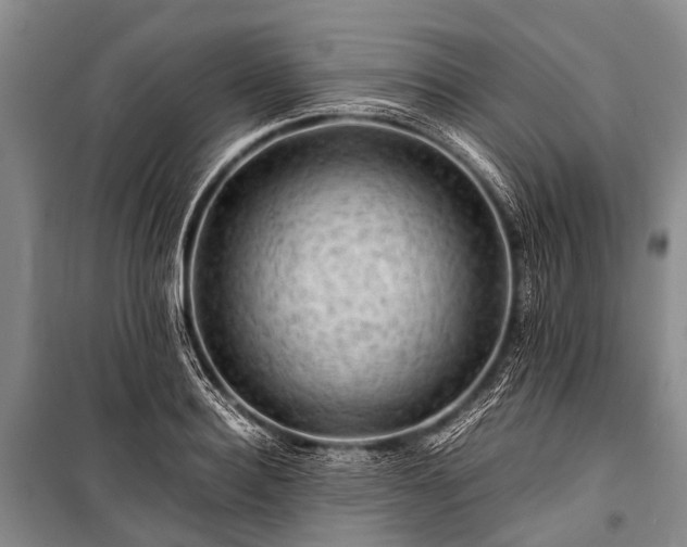 X0000100950940200807011305