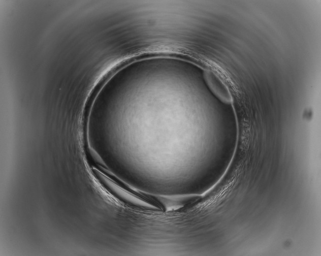 X0000100950942200807011305