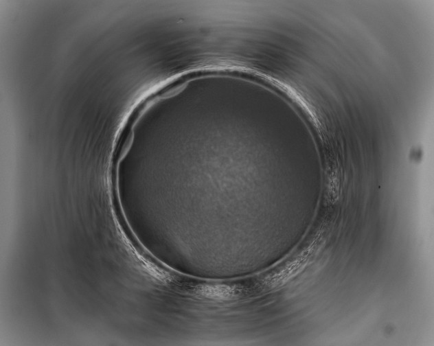 X0000100950943200807011305
