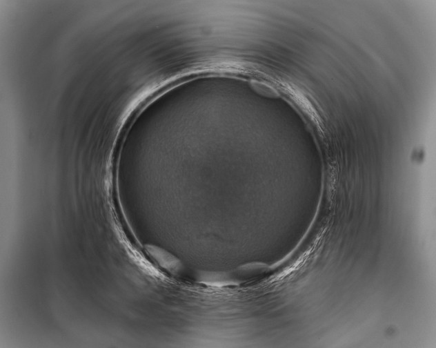 X0000100950944200807011305
