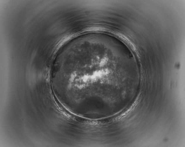 X0000100950945200807011305