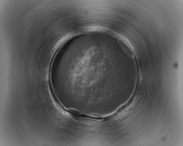 X0000100950946200807011305