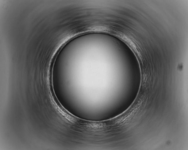 X0000100950947200807011305