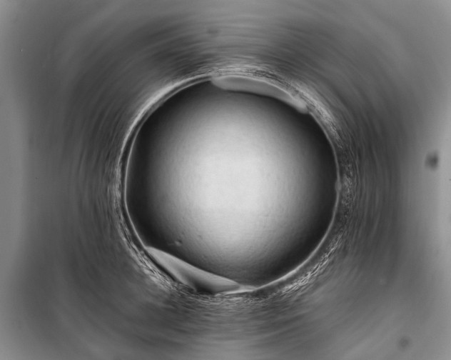 X0000100950948200807011305