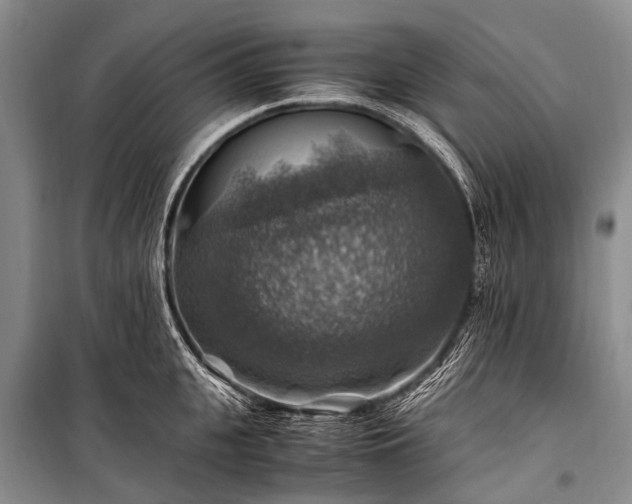 X0000100950951200807011305