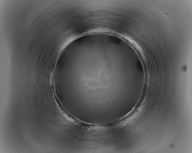 X0000100950953200807011306