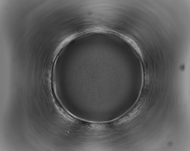 X0000100950954200807011306