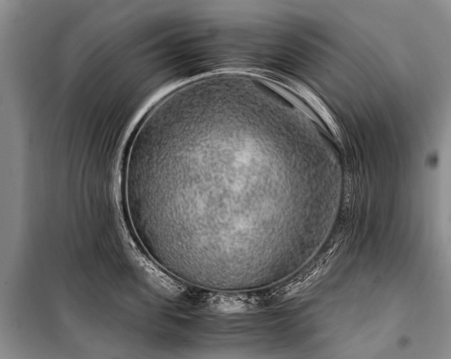 X0000100950955200807011306