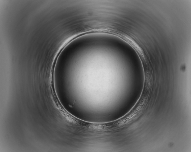X0000100950956200807011306