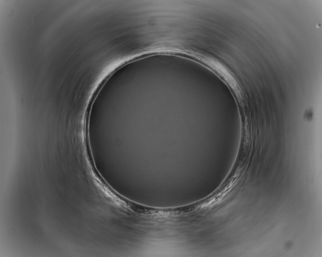 X0000100950958200807011306