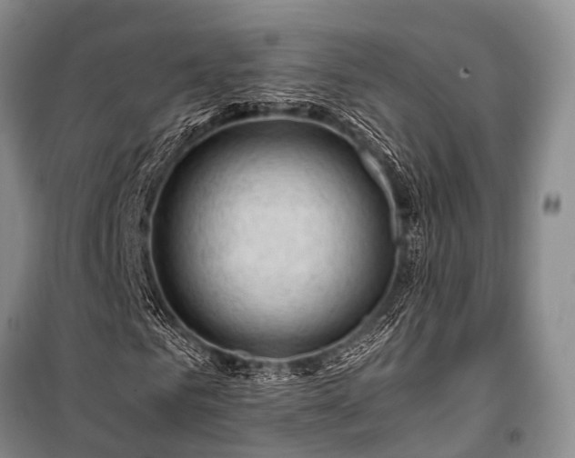 X0000100950961200807011305