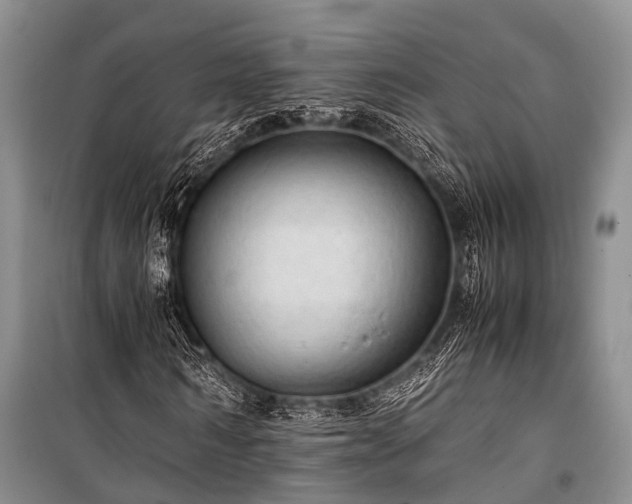 X0000100950962200807011305