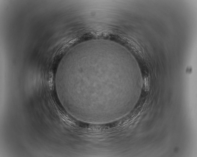 X0000100950963200807011305