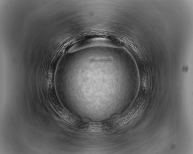 X0000100950964200807011305