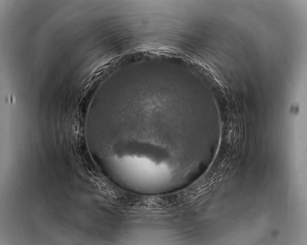 X0000100950966200807011305
